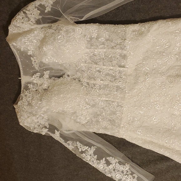 Trumpet Mermaid Wedding Dress - Picture 3 of 8